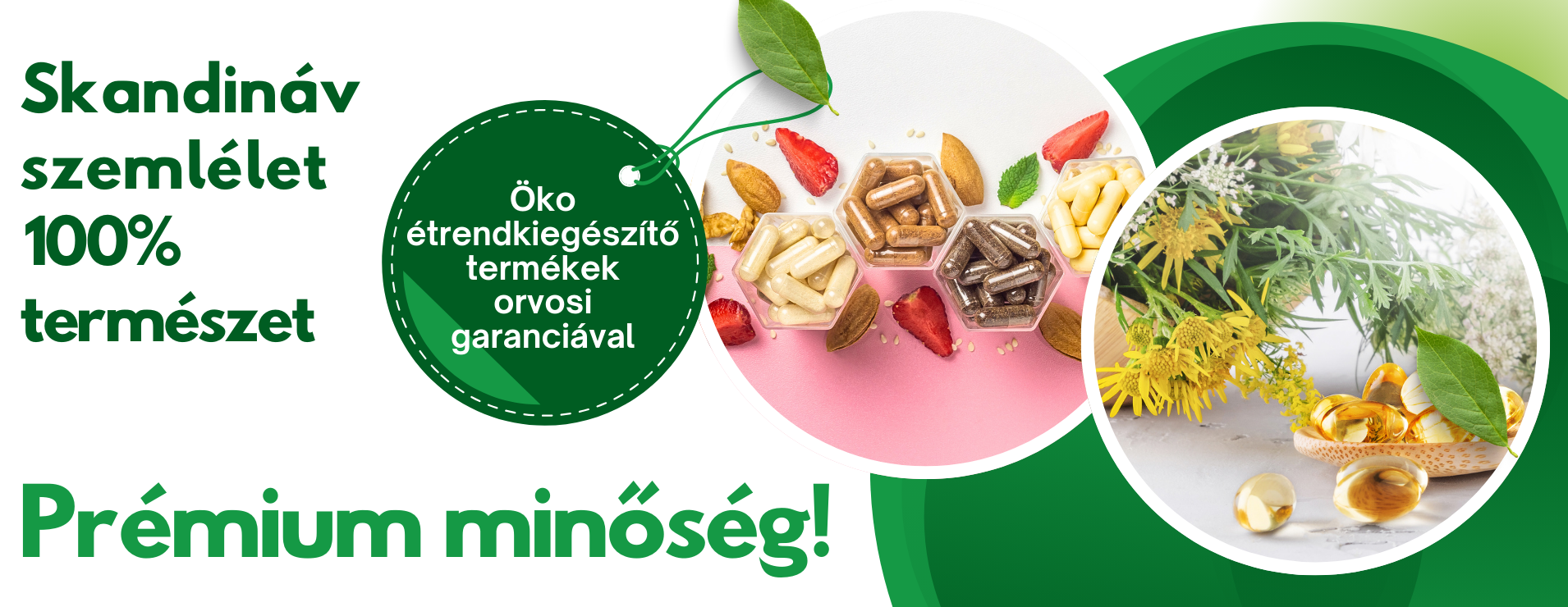 fittpatika.hu