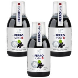   Ferrofortis B gyógynövényes vasszirup – Gazdaságos családi csomag (3x250 ml)