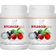  fin Xyliacertabs Duo csomag (2x210 db) - 100% természetes C-vitamin szopogató tabletta 