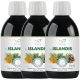 Fin Islandis gyógynövénykivonat szirup Tripla csomag (3x250 ml) - izlandi zuzmót is tartalmazó szirup a légutak és a torok egészségének megőrzésére