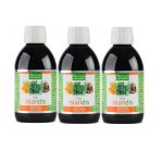 Fin Islandis gyógynövénykivonat szirup Tripla csomag (3x250 ml) - izlandi zuzmót is tartalmazó szirup a légutak és a torok egészségének megőrzésére