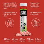 SiS Go Hydro elektrolit pezsgőtabletta B-vitaminokkal, erdei gyümölcs ízben, 20 db 