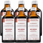 Drapal Bio Nyírfa Préslé, 6-os kúracsomag (6x200 ml) - a vese és húgyutak természetes támogatására