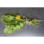 Drapal Bio Gyermekláncfű Préslé, 4 db-os csomag (4x200 ml) - a máj és epe természetes támogatására