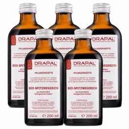   Drapal Bio Lándzsás Útifű Préslé, 5 db-os csomag (5x200 ml) - a légutak természetes támogatására