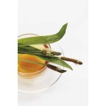 Drapal Bio Lándzsás Útifű Préslé, 200 ml - a légutak természetes támogatására