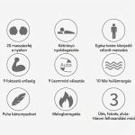 Shiatsu luxus masszázsmatrac - 4 forgó masszázsfejjel, gördülő hátmasszázzsal és fűtési funkcióval